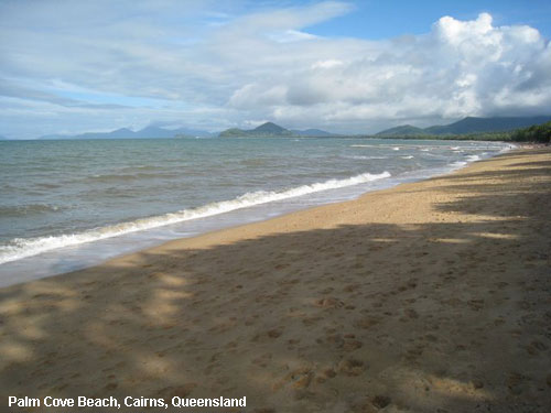 Vacanta in Palm Cove Beach, Cairns, Queensland, vacante de vis, calatorie, insule si locuri de scufundat, top plaje de vis