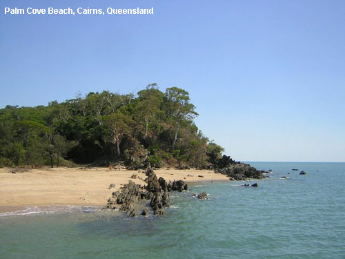 Vacanta in Palm Cove Beach, Cairns, Queensland, vacante de vis, calatorie, insule si locuri de scufundat, top plaje de vis