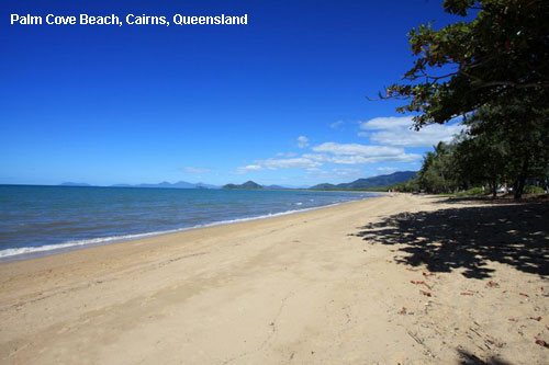 Vacanta in Palm Cove Beach, Cairns, Queensland, vacante de vis, calatorie, insule si locuri de scufundat, top plaje de vis