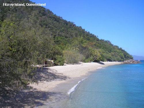Vacanta in Fitzroy Island, Queensland, vacante de vis, calatorie, insule si locuri de scufundat, top plaje de vis