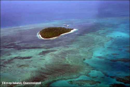 Vacanta in Fitzroy Island, Queensland, vacante de vis, calatorie, insule si locuri de scufundat, top plaje de vis