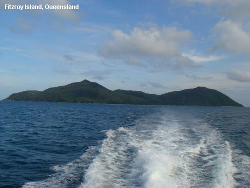 Vacanta in Fitzroy Island, Queensland, vacante de vis, calatorie, insule si locuri de scufundat, top plaje de vis
