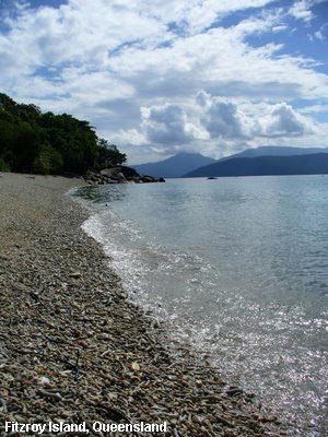 Vacanta in Fitzroy Island, Queensland, vacante de vis, calatorie, insule si locuri de scufundat, top plaje de vis