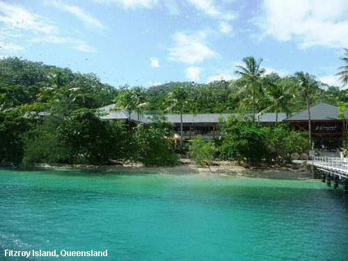 Vacanta in Fitzroy Island, Queensland, vacante de vis, calatorie, insule si locuri de scufundat, top plaje de vis