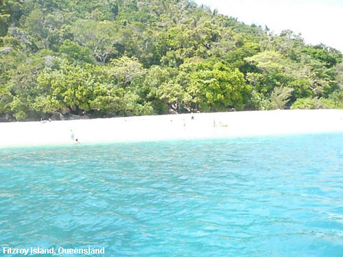 Vacanta in Fitzroy Island, Queensland, vacante de vis, calatorie, insule si locuri de scufundat, top plaje de vis