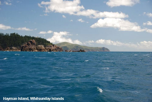 Vacanta in Hayman Island, Whitsunday Islands, vacante de vis, calatorie, insule si locuri de scufundat, top plaje de vis