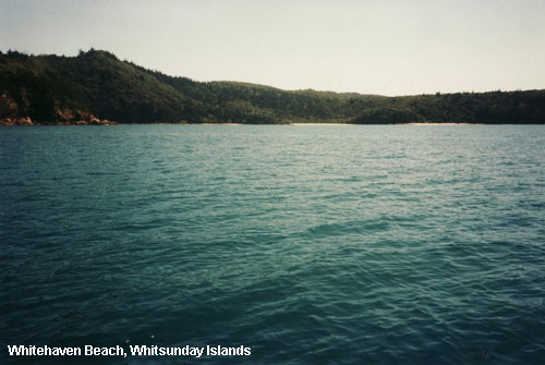 Vacanta in Whitehaven Beach, Whitsunday Islands, vacante de vis, calatorie, insule si locuri de scufundat, top plaje de vis