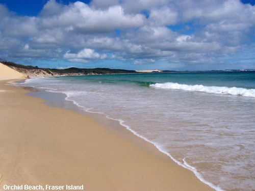 Vacanta in Orchid Beach, Fraser Island, vacante de vis, calatorie, insule si locuri de scufundat, top plaje de vis
