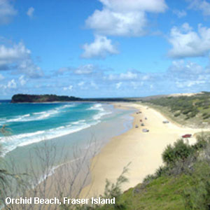 Vacanta in Orchid Beach, Fraser Island, vacante de vis, calatorie, insule si locuri de scufundat, top plaje de vis