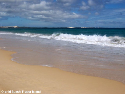 Vacanta in Orchid Beach, Fraser Island, vacante de vis, calatorie, insule si locuri de scufundat, top plaje de vis