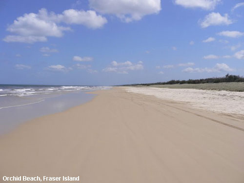 Vacanta in Orchid Beach, Fraser Island, vacante de vis, calatorie, insule si locuri de scufundat, top plaje de vis