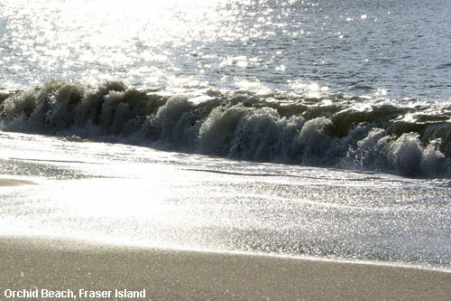 Vacanta in Orchid Beach, Fraser Island, vacante de vis, calatorie, insule si locuri de scufundat, top plaje de vis