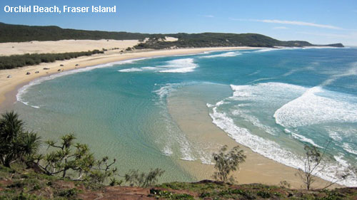 Vacanta in Orchid Beach, Fraser Island, vacante de vis, calatorie, insule si locuri de scufundat, top plaje de vis