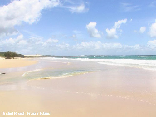 Vacanta in Orchid Beach, Fraser Island, vacante de vis, calatorie, insule si locuri de scufundat, top plaje de vis