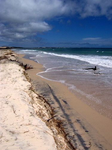 Vacanta in Orchid Beach, Fraser Island, vacante de vis, calatorie, insule si locuri de scufundat, top plaje de vis
