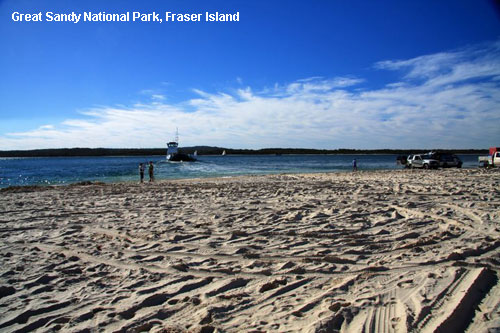 Vacanta in Great Sandy National Park, Fraser Island, vacante de vis, calatorie, insule si locuri de scufundat, top plaje de vis