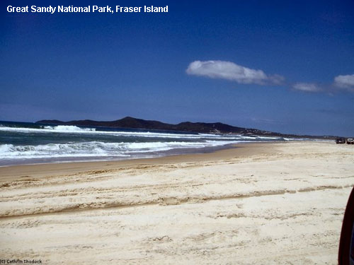 Vacanta in Great Sandy National Park, Fraser Island, vacante de vis, calatorie, insule si locuri de scufundat, top plaje de vis