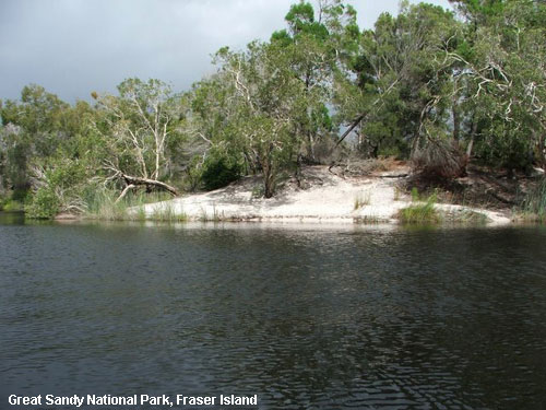 Vacanta in Great Sandy National Park, Fraser Island, vacante de vis, calatorie, insule si locuri de scufundat, top plaje de vis