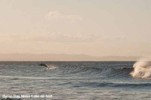 Vacanta in Byron Bay, Noua Galie de Sud, vacante de vis, calatorie, insule si locuri de scufundat, top plaje de vis