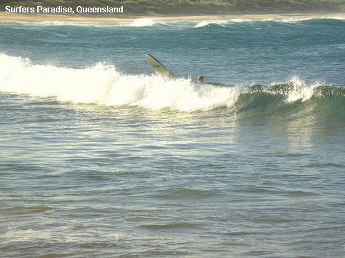 Vacanta in Surfers Paradise, Queensland, vacante de vis, calatorie, insule si locuri de scufundat, top plaje de vis