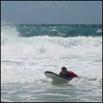 Vacanta in Surfers Paradise, Queensland, vacante de vis, calatorie, insule si locuri de scufundat, top plaje de vis