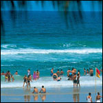 Vacanta in Surfers Paradise, Queensland, vacante de vis, calatorie, insule si locuri de scufundat, top plaje de vis