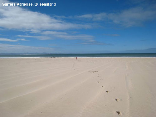 Vacanta in Surfers Paradise, Queensland, vacante de vis, calatorie, insule si locuri de scufundat, top plaje de vis