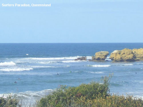 Vacanta in Surfers Paradise, Queensland, vacante de vis, calatorie, insule si locuri de scufundat, top plaje de vis