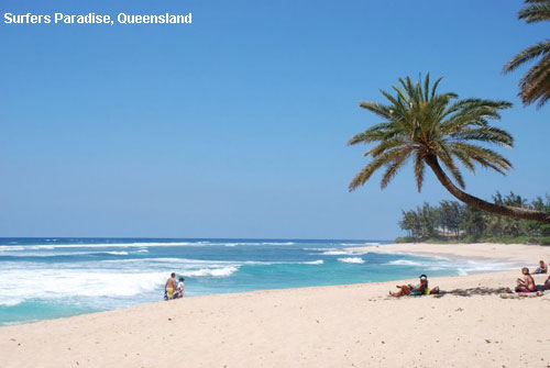 Vacanta in Surfers Paradise, Queensland, vacante de vis, calatorie, insule si locuri de scufundat, top plaje de vis
