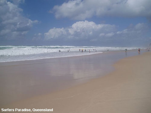 Vacanta in Surfers Paradise, Queensland, vacante de vis, calatorie, insule si locuri de scufundat, top plaje de vis