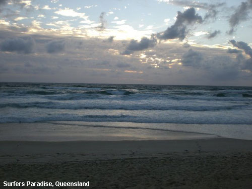 Vacanta in Surfers Paradise, Queensland, vacante de vis, calatorie, insule si locuri de scufundat, top plaje de vis