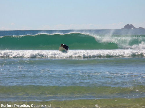 Vacanta in Surfers Paradise, Queensland, vacante de vis, calatorie, insule si locuri de scufundat, top plaje de vis