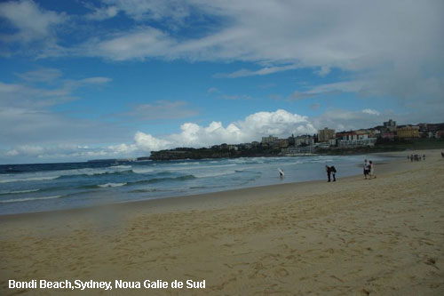 Vacanta in Bondi Beach,Sydney, Noua Galie de Sud, vacante de vis, calatorie, insule si locuri de scufundat, top plaje de vis