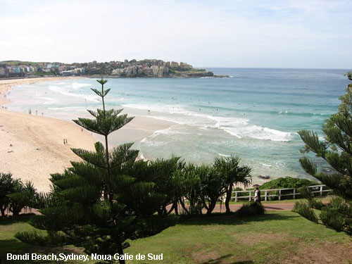 Vacanta in Bondi Beach,Sydney, Noua Galie de Sud, vacante de vis, calatorie, insule si locuri de scufundat, top plaje de vis