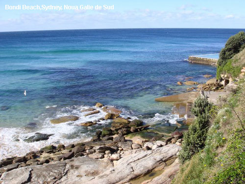 Vacanta in Bondi Beach,Sydney, Noua Galie de Sud, vacante de vis, calatorie, insule si locuri de scufundat, top plaje de vis