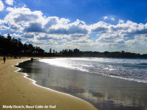 Vacanta in Manly Beach, Noua Galie de Sud, vacante de vis, calatorie, insule si locuri de scufundat, top plaje de vis
