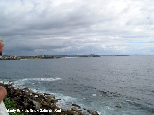 Vacanta in Manly Beach, Noua Galie de Sud, vacante de vis, calatorie, insule si locuri de scufundat, top plaje de vis