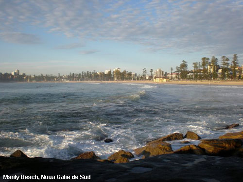 Vacanta in Manly Beach, Noua Galie de Sud, vacante de vis, calatorie, insule si locuri de scufundat, top plaje de vis