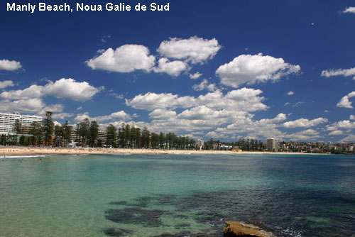 Vacanta in Manly Beach, Noua Galie de Sud, vacante de vis, calatorie, insule si locuri de scufundat, top plaje de vis