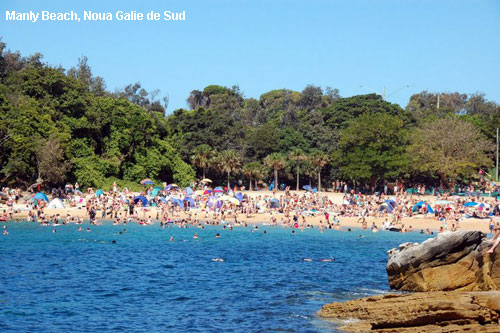 Vacanta in Manly Beach, Noua Galie de Sud, vacante de vis, calatorie, insule si locuri de scufundat, top plaje de vis