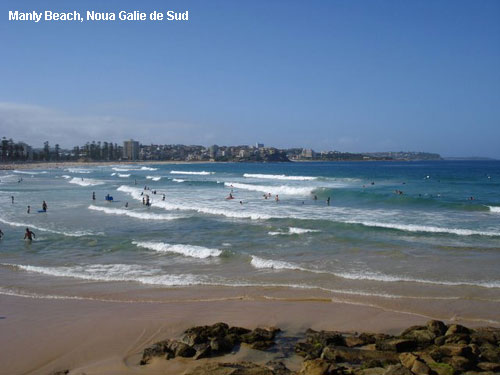 Vacanta in Manly Beach, Noua Galie de Sud, vacante de vis, calatorie, insule si locuri de scufundat, top plaje de vis