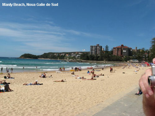 Vacanta in Manly Beach, Noua Galie de Sud, vacante de vis, calatorie, insule si locuri de scufundat, top plaje de vis