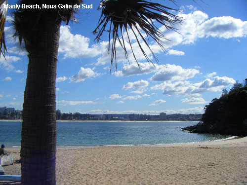 Vacanta in Manly Beach, Noua Galie de Sud, vacante de vis, calatorie, insule si locuri de scufundat, top plaje de vis