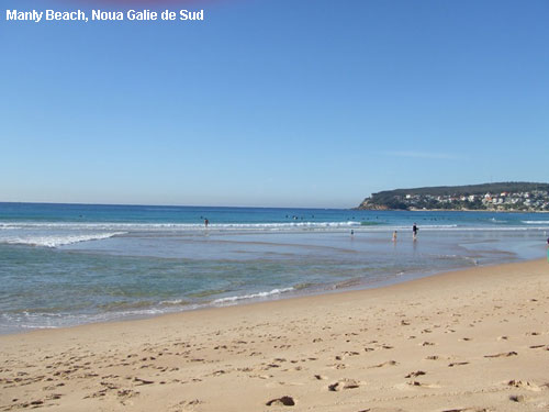 Vacanta in Manly Beach, Noua Galie de Sud, vacante de vis, calatorie, insule si locuri de scufundat, top plaje de vis