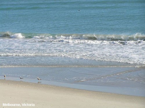 Vacanta in Melbourne, Victoria, vacante de vis, calatorie, insule si locuri de scufundat, top plaje de vis