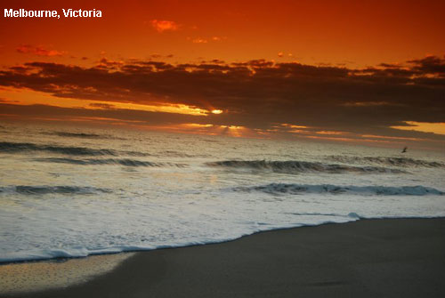 Vacanta in Melbourne, Victoria, vacante de vis, calatorie, insule si locuri de scufundat, top plaje de vis
