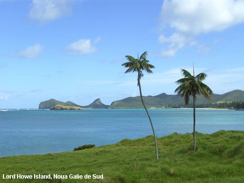 Vacanta in Lord Howe Island, Noua Galie de Sud , vacante de vis, calatorie, insule si locuri de scufundat, top plaje de vis