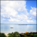 Vacanta in Lord Howe Island, Noua Galie de Sud , vacante de vis, calatorie, insule si locuri de scufundat, top plaje de vis
