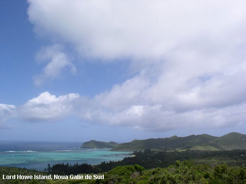 Vacanta in Lord Howe Island, Noua Galie de Sud , vacante de vis, calatorie, insule si locuri de scufundat, top plaje de vis