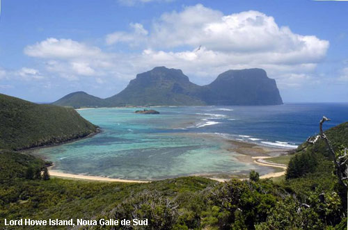 Vacanta in Lord Howe Island, Noua Galie de Sud , vacante de vis, calatorie, insule si locuri de scufundat, top plaje de vis